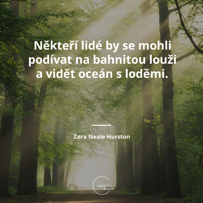 Někteří lidé by se mohli podívat na bahnitou louži a vidět oceán s loděmi. | Zora Neale Hurston