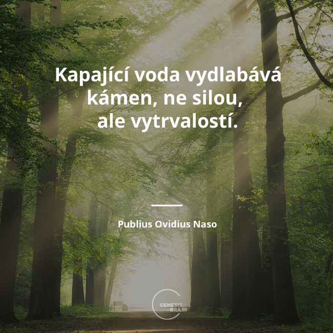 Kapající voda vydlabává kámen, ne silou,
ale vytrvalostí. | Publius Ovidius Naso