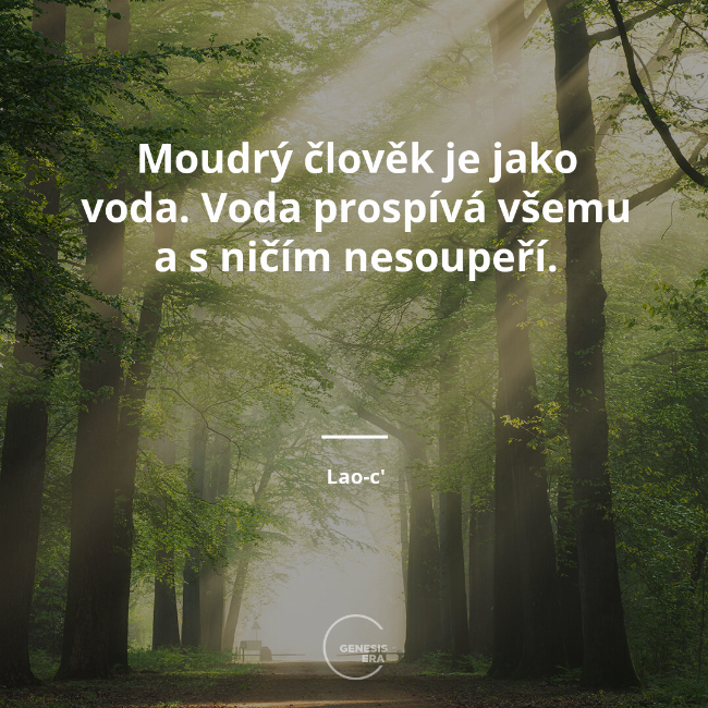 Moudrý člověk je jako voda. Voda prospívá všemu a s ničím nesoupeří. | Lao-c'