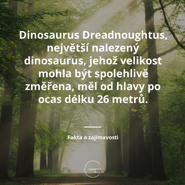 Dinosaurus Dreadnoughtus, největší nalezený dinosaurus, jehož velikost mohla být spolehlivě změřena, měl od hlavy po ocas délku 26 metrů. | Fakta a zajímavosti
