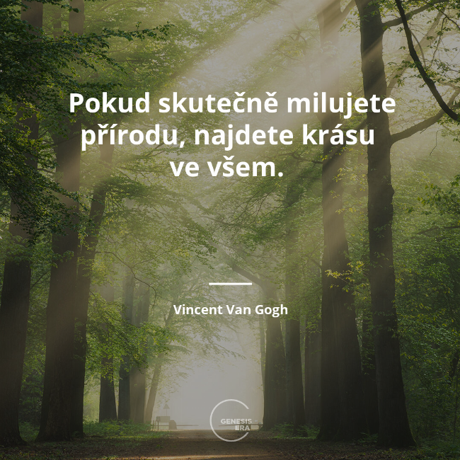 Pokud skutečně milujete přírodu, najdete krásu
ve všem. | Vincent Van Gogh